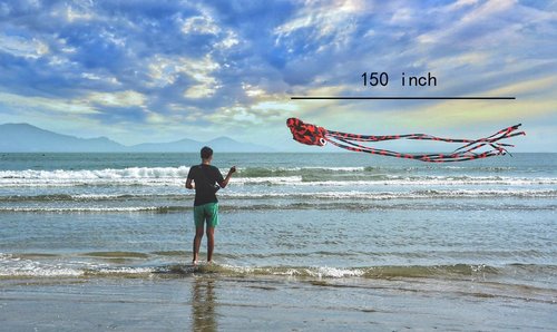 Kizh Kite Octopus - Large Frameless Soft Parafoil Kite for Kids & Adults | 150 Inches Long for Outdoor Fun