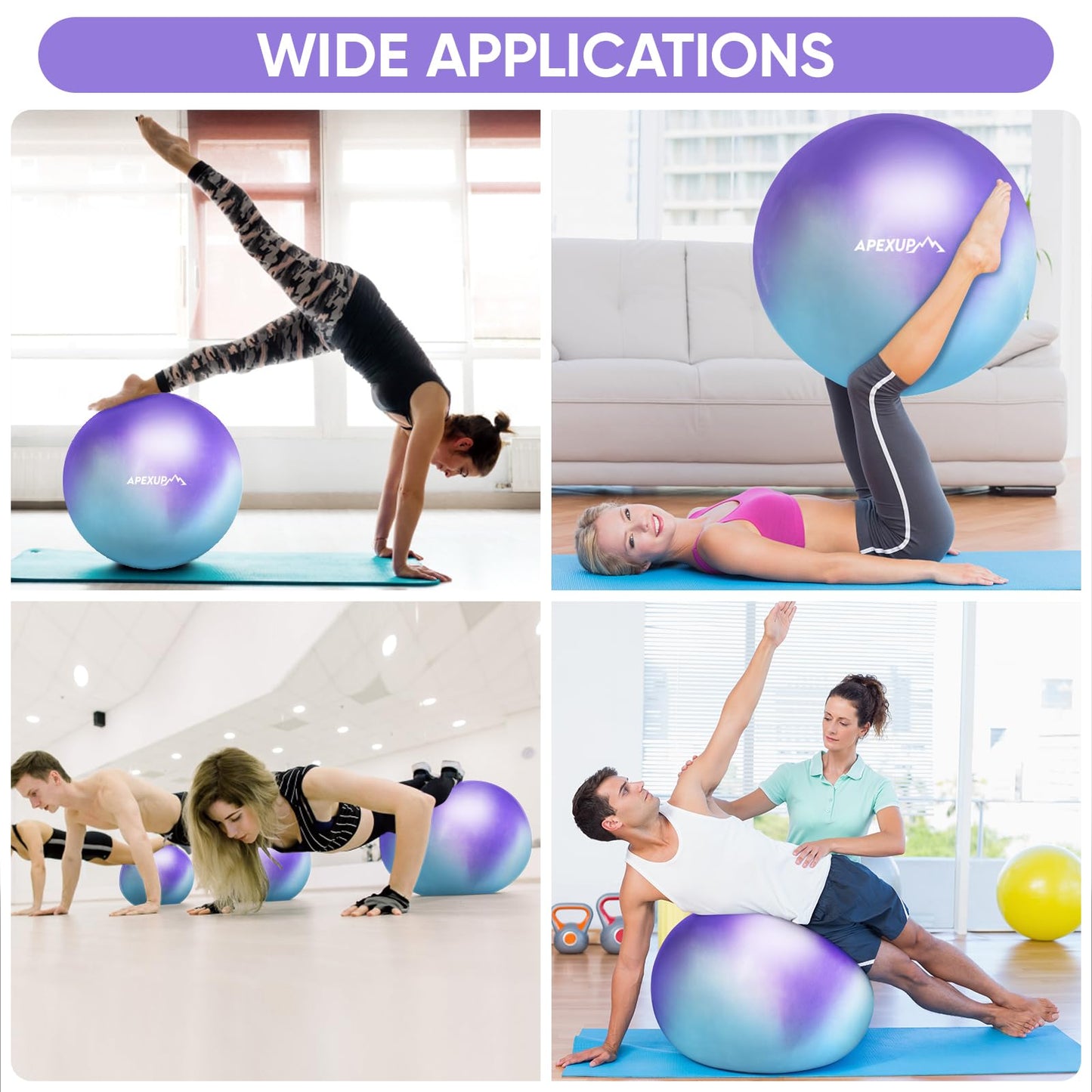 APEXUP Yoga Ball, 660 lbs Anti-Burst Exercise Ball with Pump, 5 Sizes (L(23"~26") 65cm, Blue Purple)