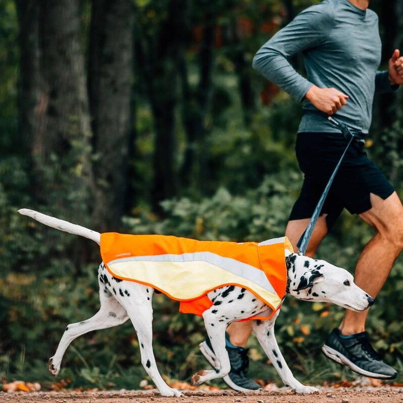 Ruffwear, Lumenglow High-Vis Dog Vest, Reflective Jacket with Water-Repellent Shell, Harness-Compatible Leash Portal, Side-Release Buckles, Back Light Attachment Loop, Blaze Orange, X-Small