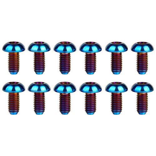 Wanyifa 12Pcs Ti Titanium Bolts Torx M5x10 Bicycle Bike Disc Brake Cycle Rotor Screws Gr5 (Burnt Blue)