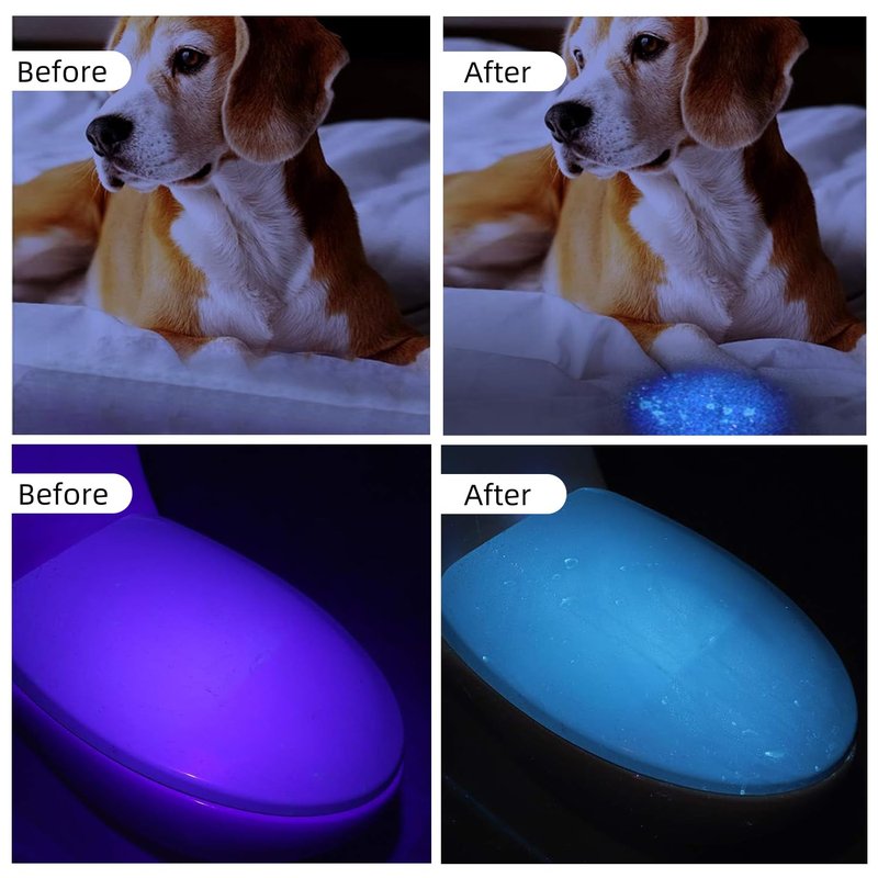 Collgene UV Flashlight Black Light, 100 LED (390 nm) Portable Blacklight Pet Urine Detector for Dog/Cat Urine, Dry Stains, Bed Bug, Battery Not Included