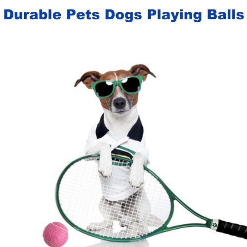 HiBallBall 12-Pack Practice Tennis Balls for Beginners & Dogs - Reusable Mesh Carry Bag Included - Ideal for Tennis Training, Pet Play, Fetch (Purple)