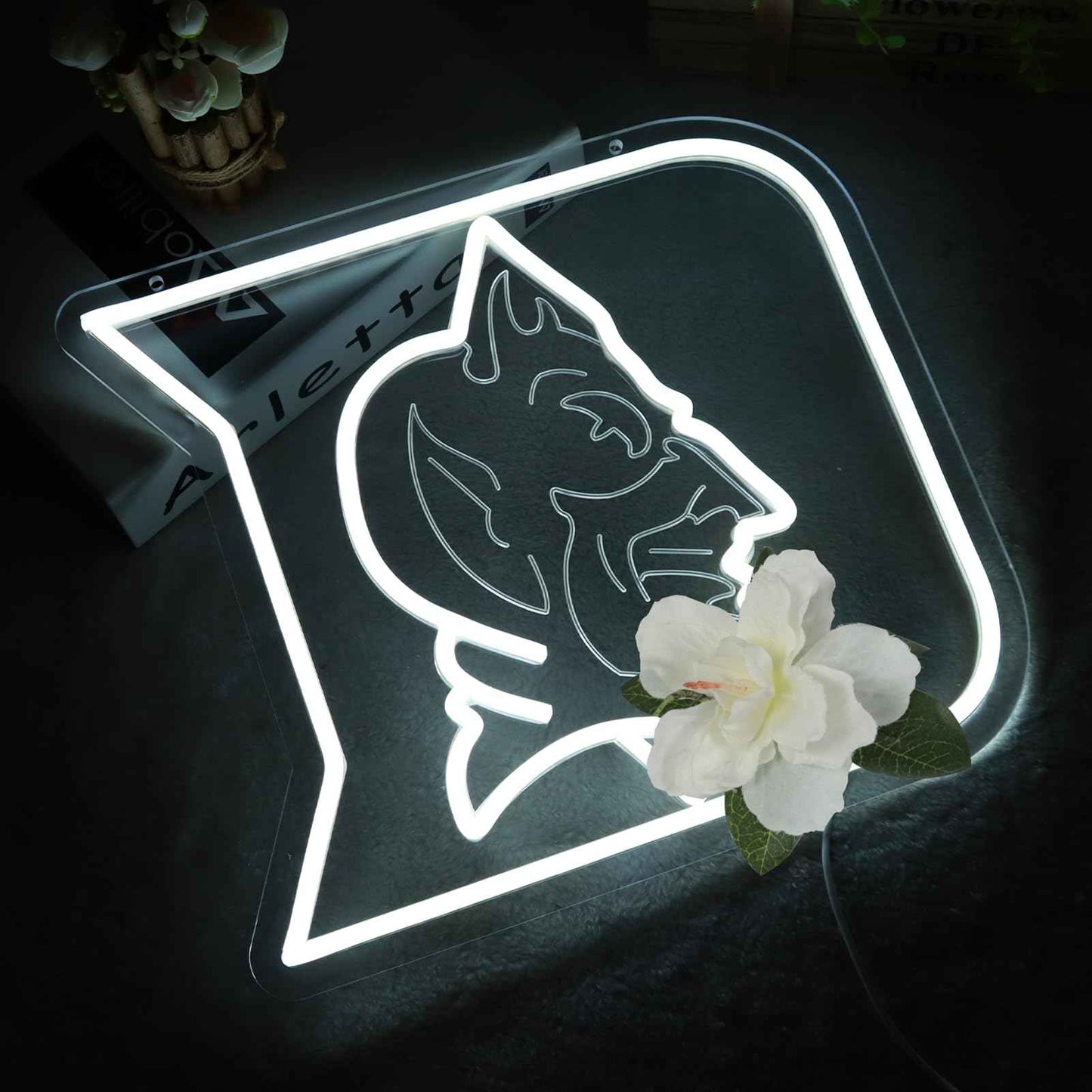HUIKWAN University Team Logo Neon Sign，Neon Light LED Sign for Sports Fans Gifts USB Powered Neon Wall Sign Dimmable for Man Cave Sports Studio Wall Art