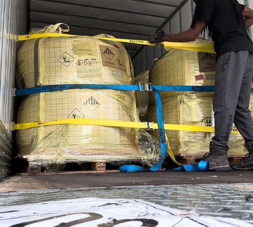 Mytee Products (10 Pack) 2'' x 20' E Track Straps w/Spring E-Fittings - Blue Ratchet Etrack Straps w/Heavy Duty 4000 lbs Breaking Strength for Enclosed Trailers, Trucks & Vans