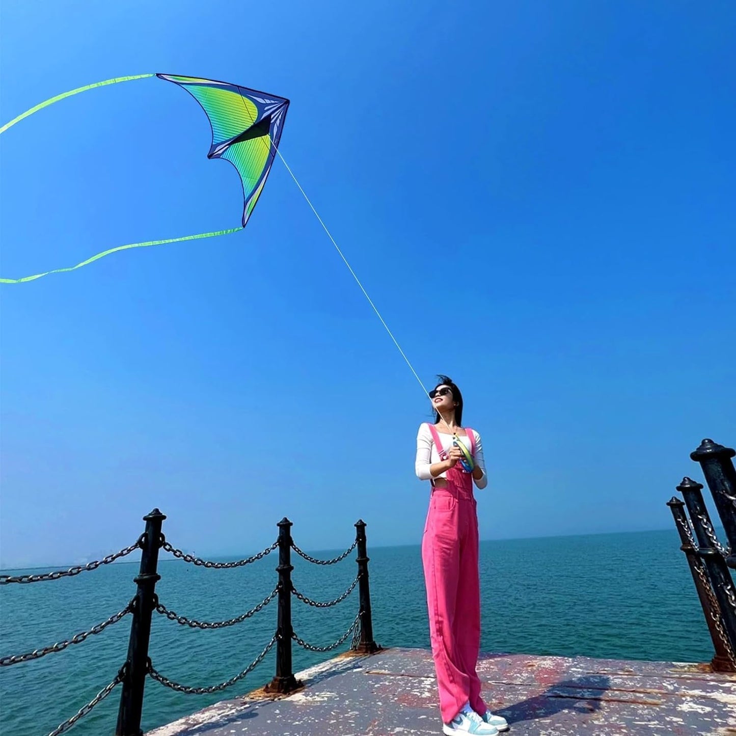 Skiennix Large Beach Kite - Easy to Fly Single Line Kite with 650ft String for Kids & Adults