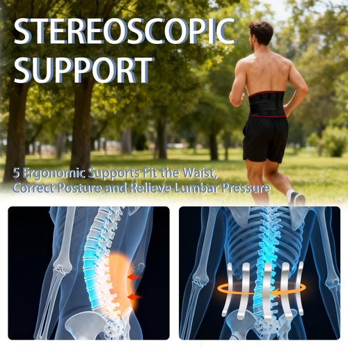 ChromaBloom Back Support for Low Back Pain, Waist Support Back Support belt, for Scoliosis and Lumbar Disc Herniation, Thin Mesh Fits the Waist and is Suitable For Men and Women (Black, Medium)