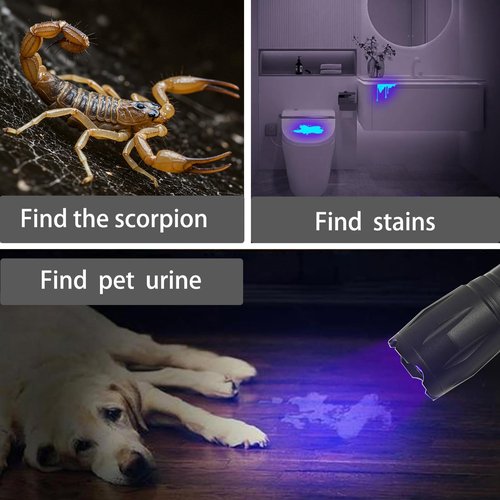 2 Pack LED Rechargeable Red Flashlight, LED Small 395 NM Black Flashlight with Memory Function, Super Bright Zoomable Red Light Black Lights Flashlights with USB C Charging for Camping Hiking Home