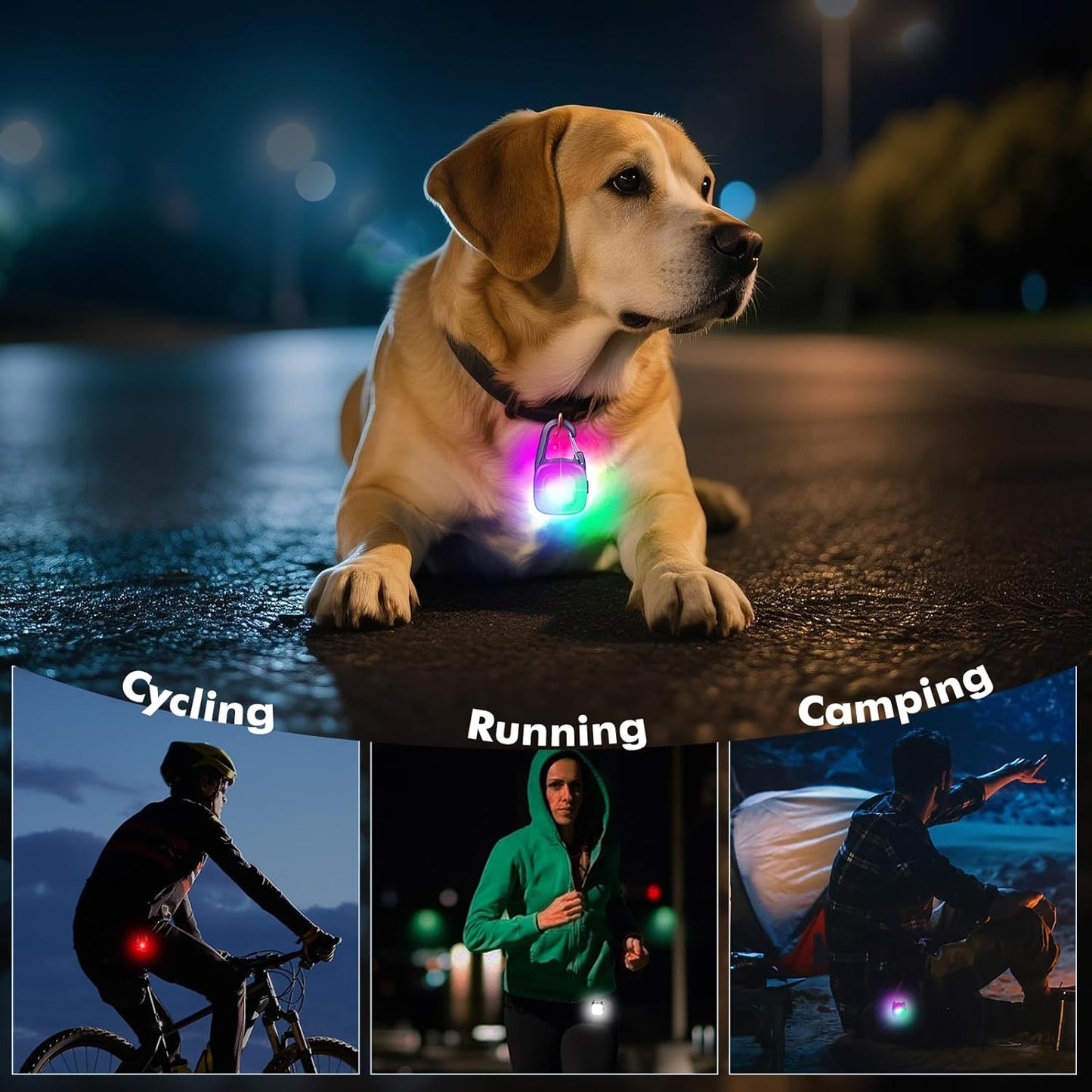 Skiennix LED Dog Collar Lights - Rechargeable Safety Clip-On Lights with 4 Modes | IP68 Waterproof, 2-Pack