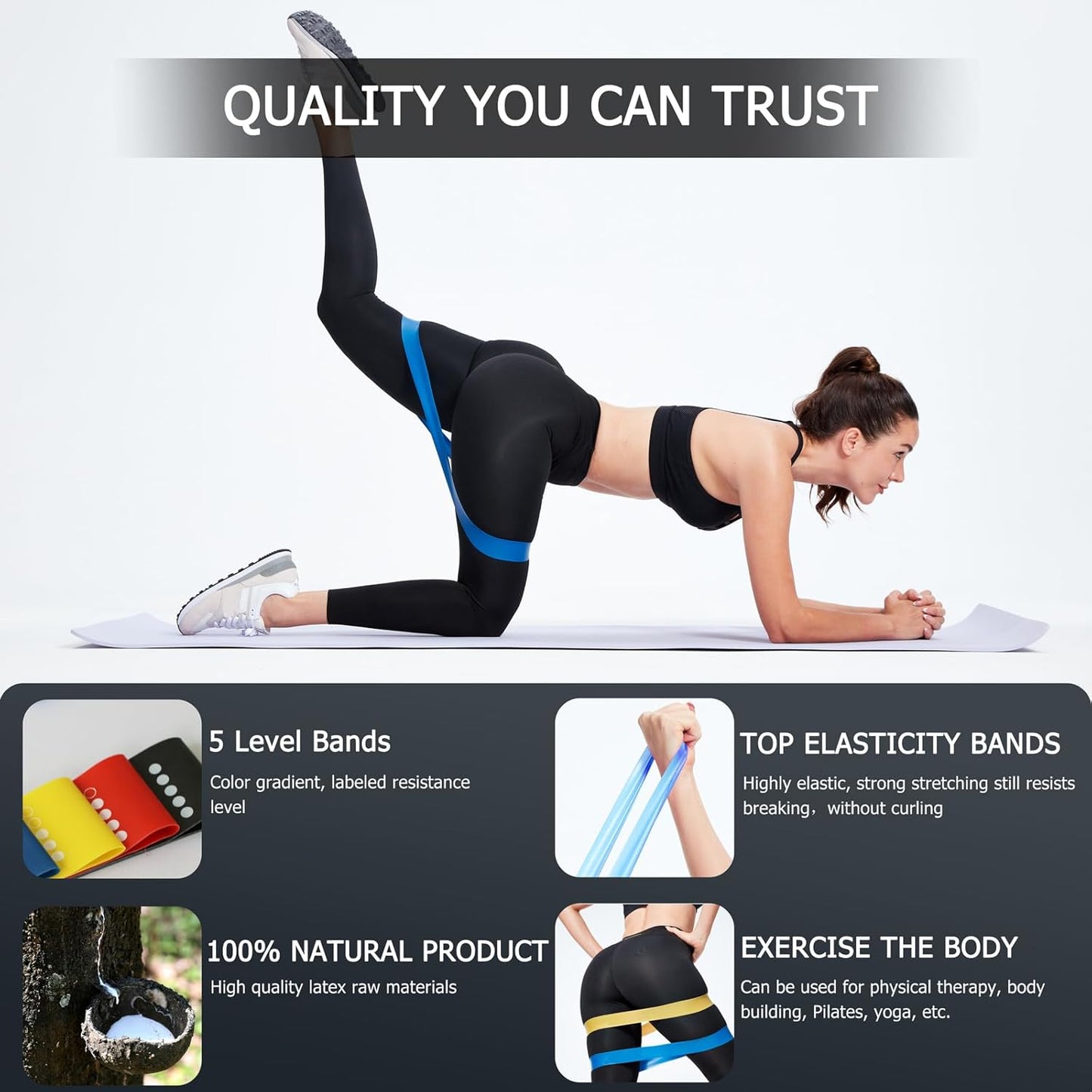 Skiennix Professional Resistance Bands - Set of 10 for Strength Training & Flexibility