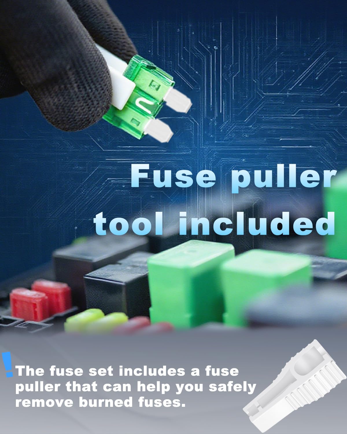 Riseuvo 316 Pcs Car Fuse Assortment Kit - Standard & Mini & Low Profile Mini Blade Automotive Replacement Fuses for RV, Camper, Boat, Truck (2A 3A 5A 7.5A 10A 15A 20A 25A 30A 35A 40A)