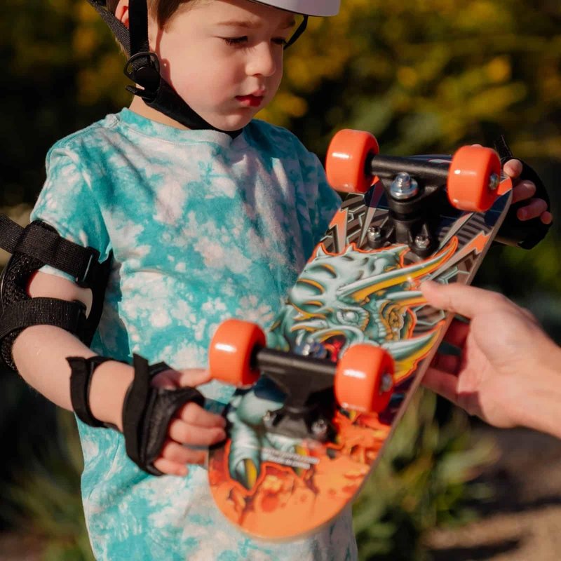 RUDEBOYS 17 Inch Mini Wooden Beginner Skateboard (Dinosaur Design)