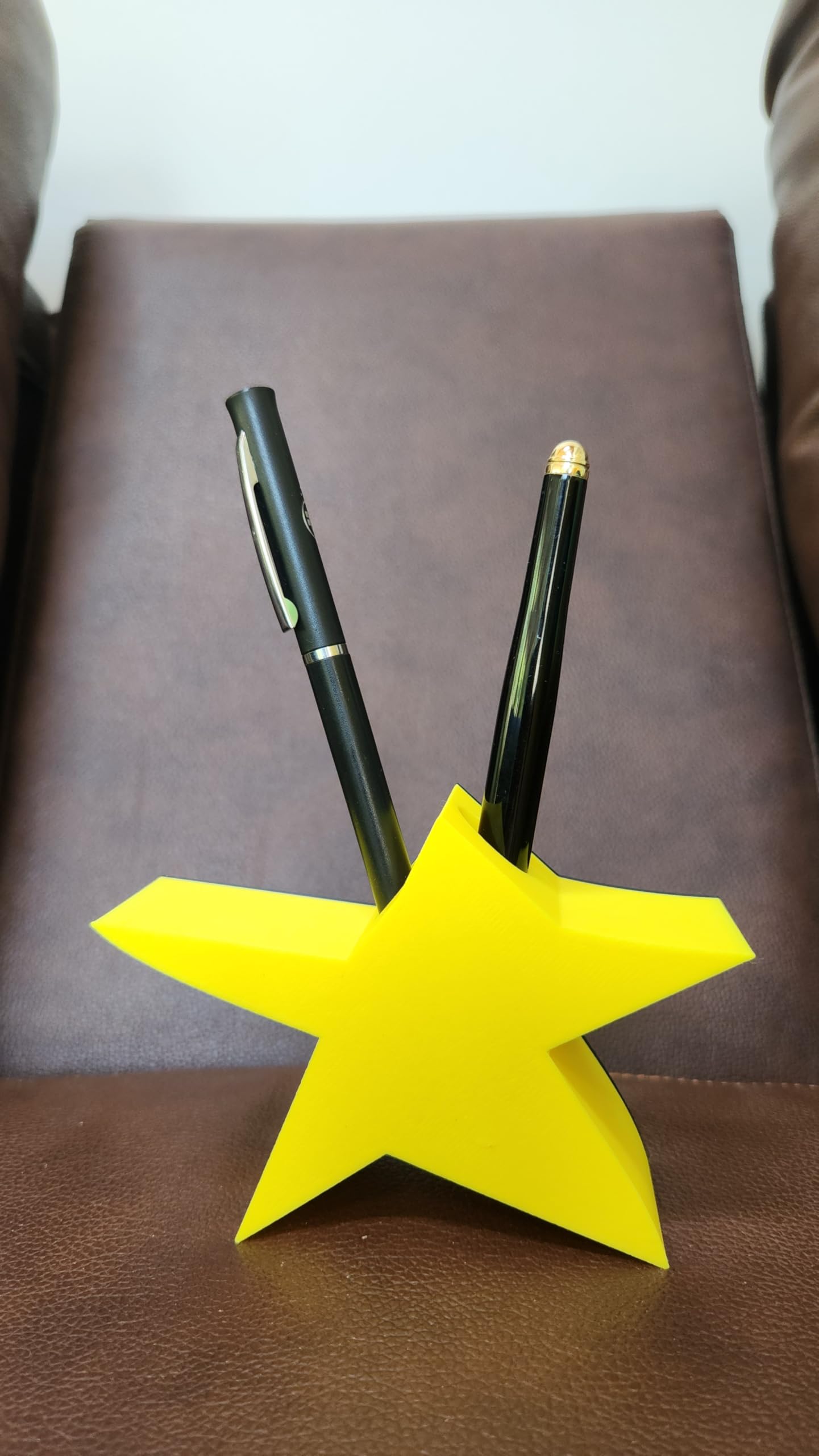 Funny “Your Did It” Star Trophy – Cute Desk Décor, Gag Gift for Friends, Coworkers, Graduation, Birthday, Office Pen Holder or Small Victory Award
