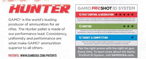 Gamo Match Pellets - Flat Nose Precision Shooting | Ideal for Target Practice