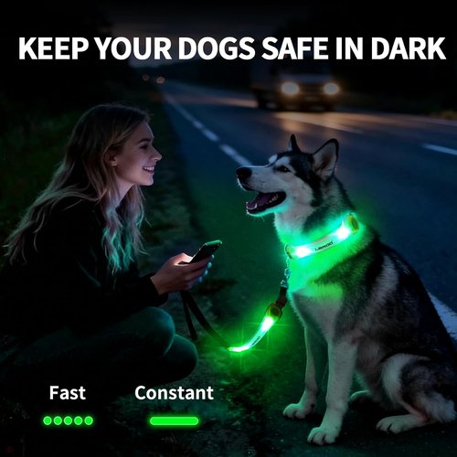 LaRoo Dog Collar Light - Universal LED Safety Lights for Night Walking | Green Nylon Stickers