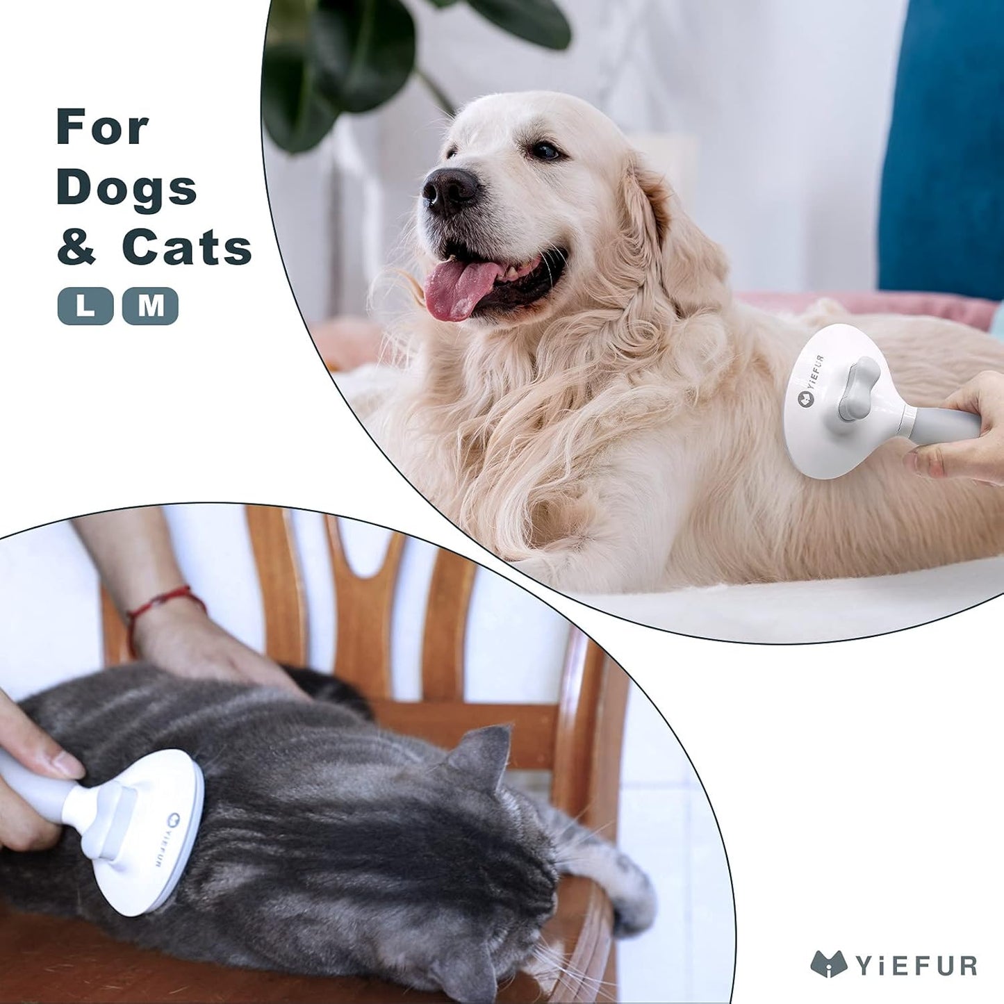 Skiennix Cat Hair Brush - Soft Silicone Self-Cleaning Grooming Tool for Short & Long Haired Cats