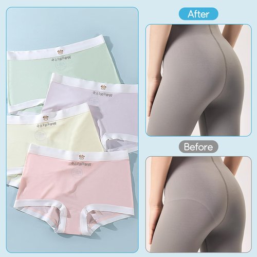 Felskin Girls' Soft Seamless Panties Girl 4-12 Years Old Stretch Comfort Underwear Briefs, 4-Packs