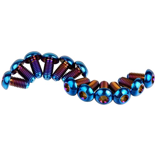 Wanyifa 12Pcs Ti Titanium Bolts Torx M5x10 Bicycle Bike Disc Brake Cycle Rotor Screws Gr5 (Burnt Blue)