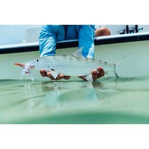 Berkley Saltwater Inshore Fishing Bait Gift Kit