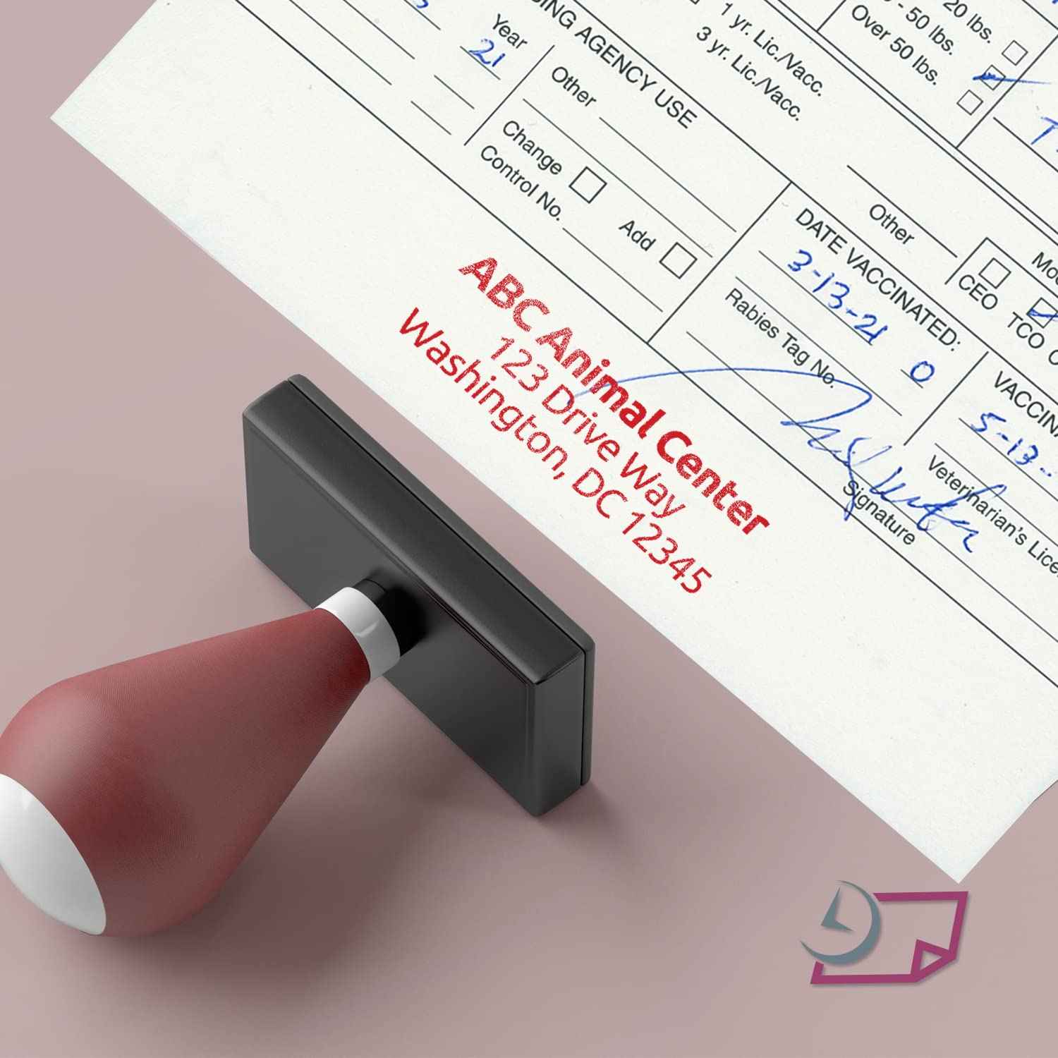 NextDayLabels - Veterinarian, 3-Part Rabies Vaccination Certificates for Cats & Dogs (100 Sets per Package)