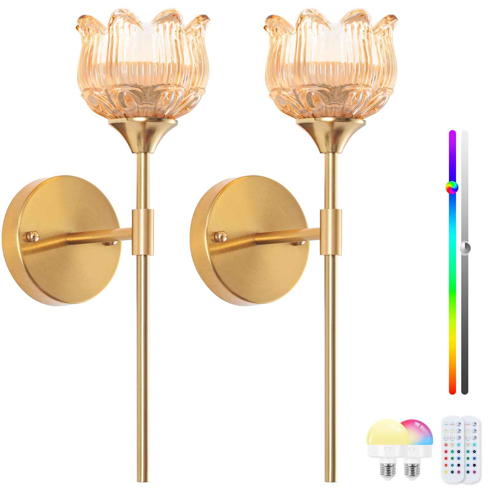 Rnzziw Battery Operated Wall Sconces Set of 2, Wireless Wall Sconce with USB, Rechargeable LED Light Bulbs 12 Colors Industrial Brushed Brass Wall Lamp for Bedroom Living Room, Bulbs Included (Amber)