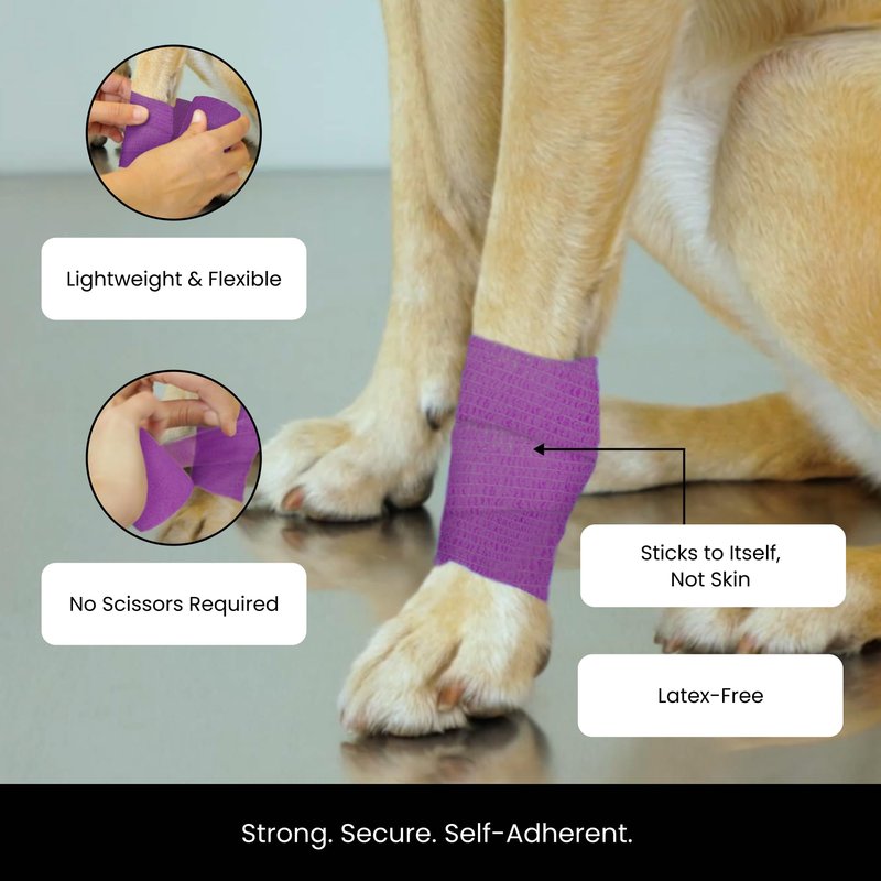 Juvale Self-Adherent Bandage Wrap - Grip Tape for Tattoo & Sport Tape - Vet Wrap & Wrist Support - 2 in x 5 yd, 24 Rolls, Multicolor
