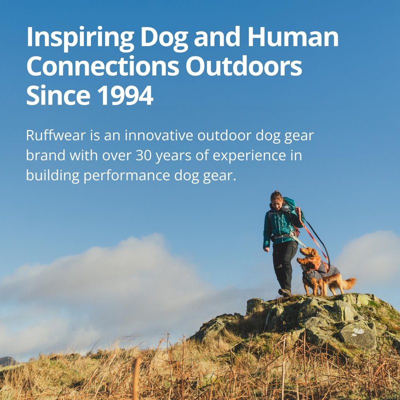 Ruffwear, Lumenglow High-Vis Dog Vest, Reflective Jacket with Water-Repellent Shell, Harness-Compatible Leash Portal, Side-Release Buckles, Back Light Attachment Loop, Blaze Orange, X-Small