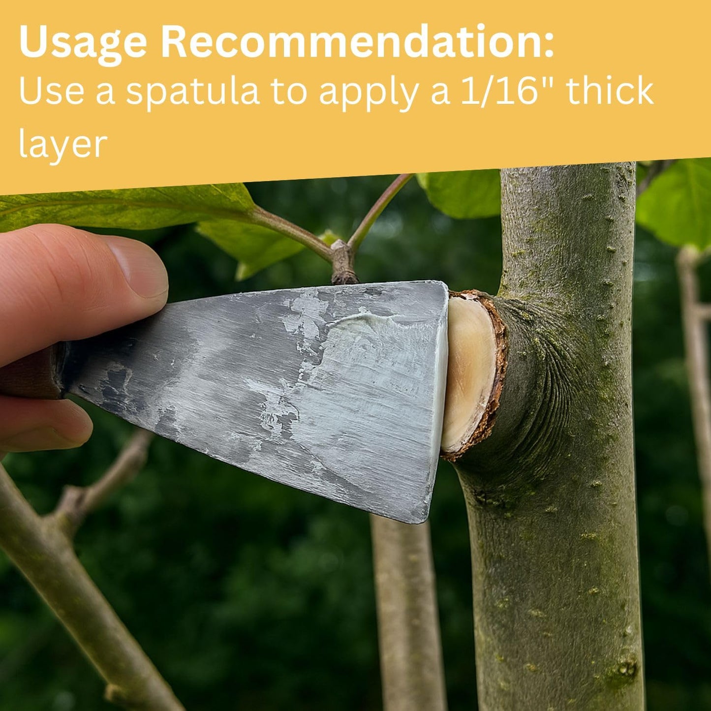 Briliantwerk 28 oz Transparent Tree Pruning Sealer - Tree Wound Sealer - Protective Coating for Pruning Cuts & Grafting Ideal for Tree Bark & Branch Care