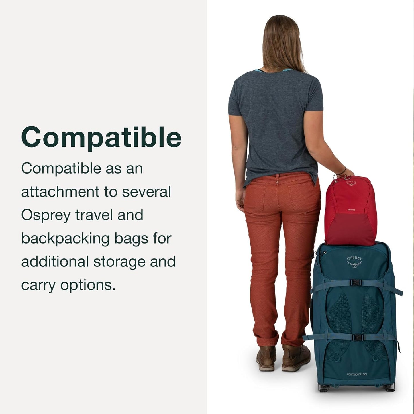Osprey Daylite Plus Commuter Backpack - Versatile Design for Men & Women | Dark Charcoal/Blue Flame