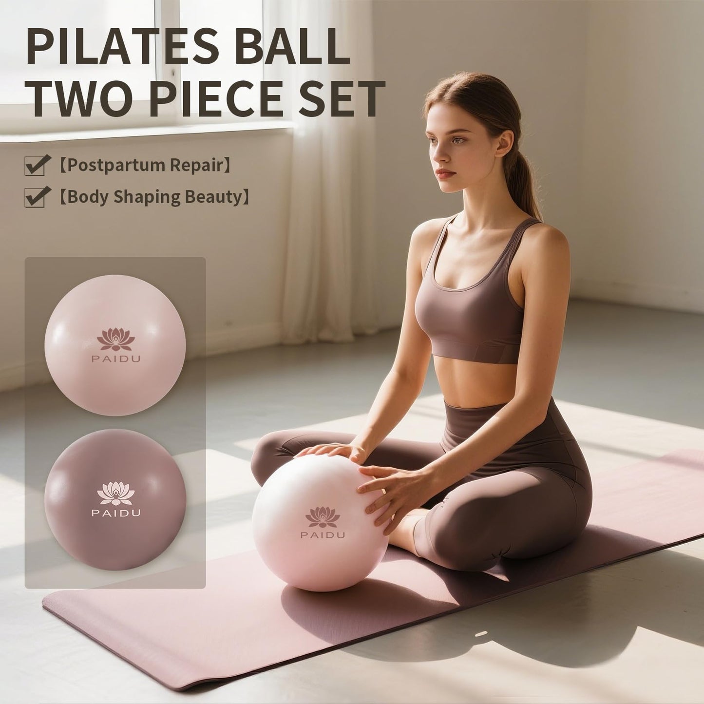 PAIDU Pilates Ball 10-inch Core 2pcs, Anti-Explosion and Anti-Slip Mini Yoga Balls, Suitable for Pilates, Yoga, Core Training, Physical Therapy, Balance, Stability, Stretching Exercises