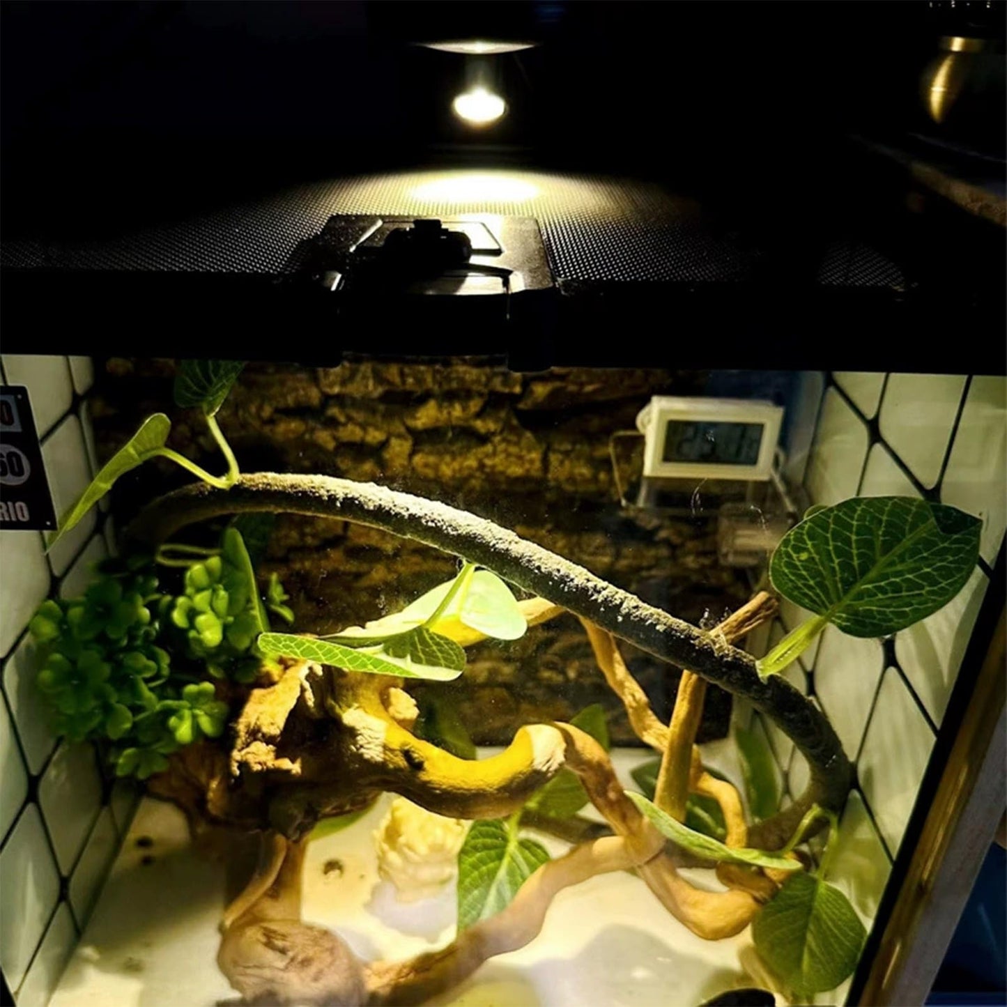 5V Dimmable LED Mini Spot Light with 6.6ft Cable, Jewelry/Indoor Picture/Art/Model Display Lights, USB Powered Spotlight for Jewelry Cabinets, Entryways, Tables Shelves (Warm White 3000K, 1 Pack)