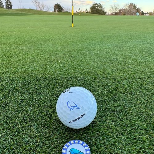 Bling Golf Ball Marker Hat Clip | Magnetic Ball Marker for Women | Stylish Golf Hat Clip Ball Marker for Female Golfers Fun Gift Idea with Strong Magnet for Hat, Visor, Golf Accessories (Birdie)
