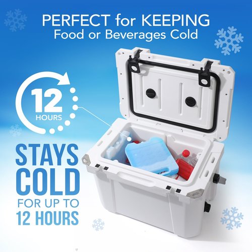 Everlasting Ice RX Large Reusable Ice Packs - BPA Free Freezer Packs for Extended Cooling | 4 Pack for Camping, Fishing, Beach