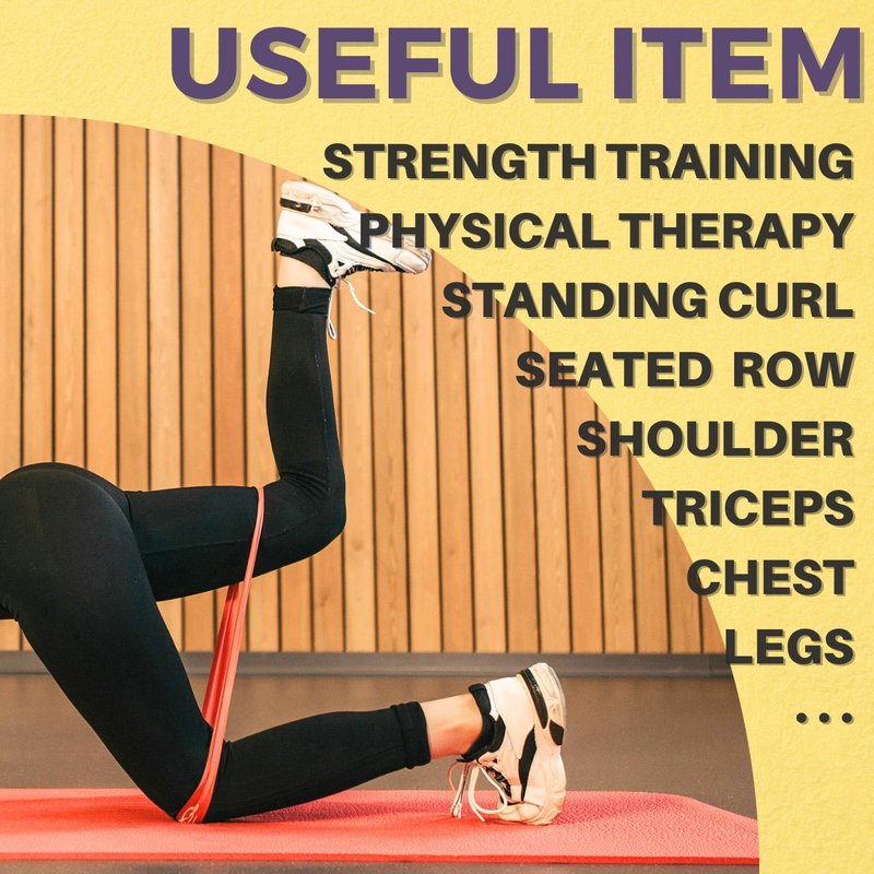 LEZER Resistance Bands for Working Out, Exercise Band, Pull Up Band, Elastic Band, Stretching, Training, Gym, Physical Therapy, Fitness, Workout, Yoga, with Instruction, Light Set of 3