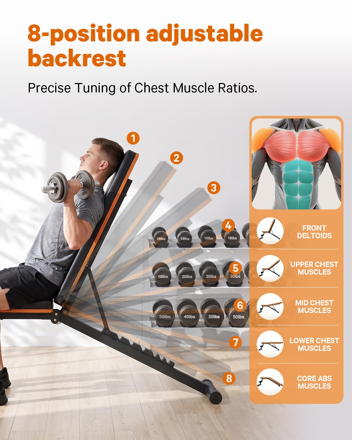 WECENI Adjustable Weight Bench,Adjustable weight bench, Multi-Functional Foldable workout Bench Press with 660 LBS Capacity, Strength Training Equipment gym for Home, Full heavy duty fitness bench gym at home.