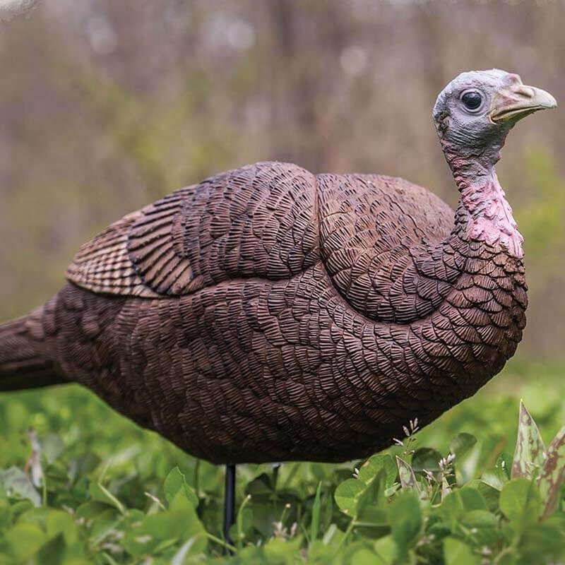 Primos Hunting Lil Gobstopper Hen Turkey Decoy Light-Weight, Collapsible Hunting Decoy 69073, Multicolor