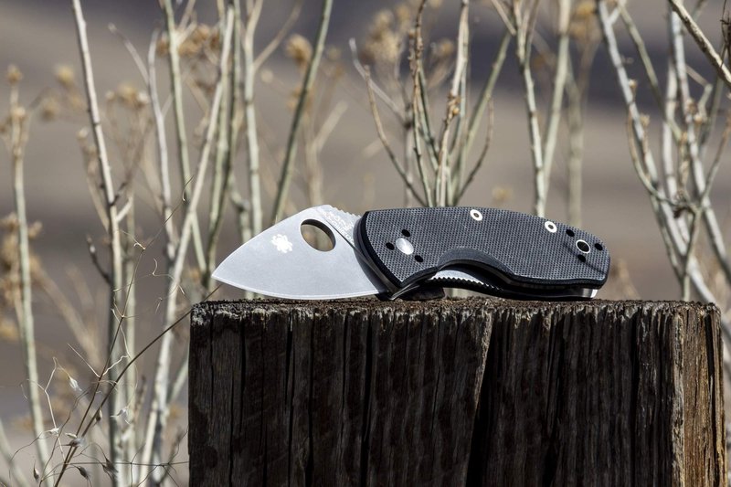 Spyderco Ambitious Value Knife with 2.31" Stainless Steel Blade and Durable Black G-10 Handle - PlainEdge - C148GP