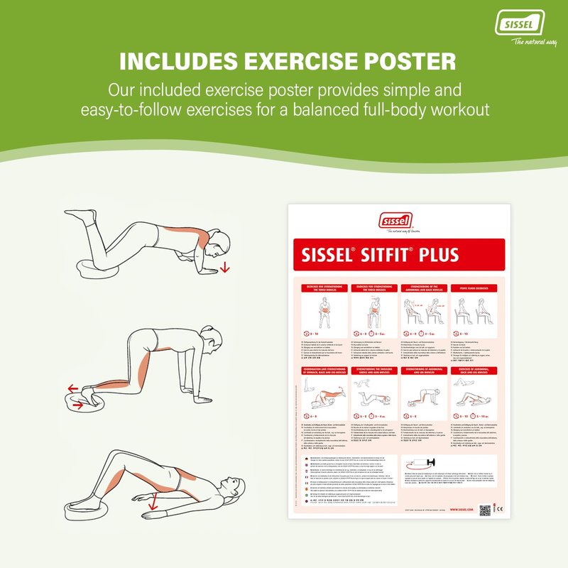 SISSEL SITFIT Plus | Active & Dynamic Sitting | 2-in-1 Function | Adjustable Pressure | Black, 14.5 in | Strengthens Back Muscles | Includes Pump & Exercise Poster
