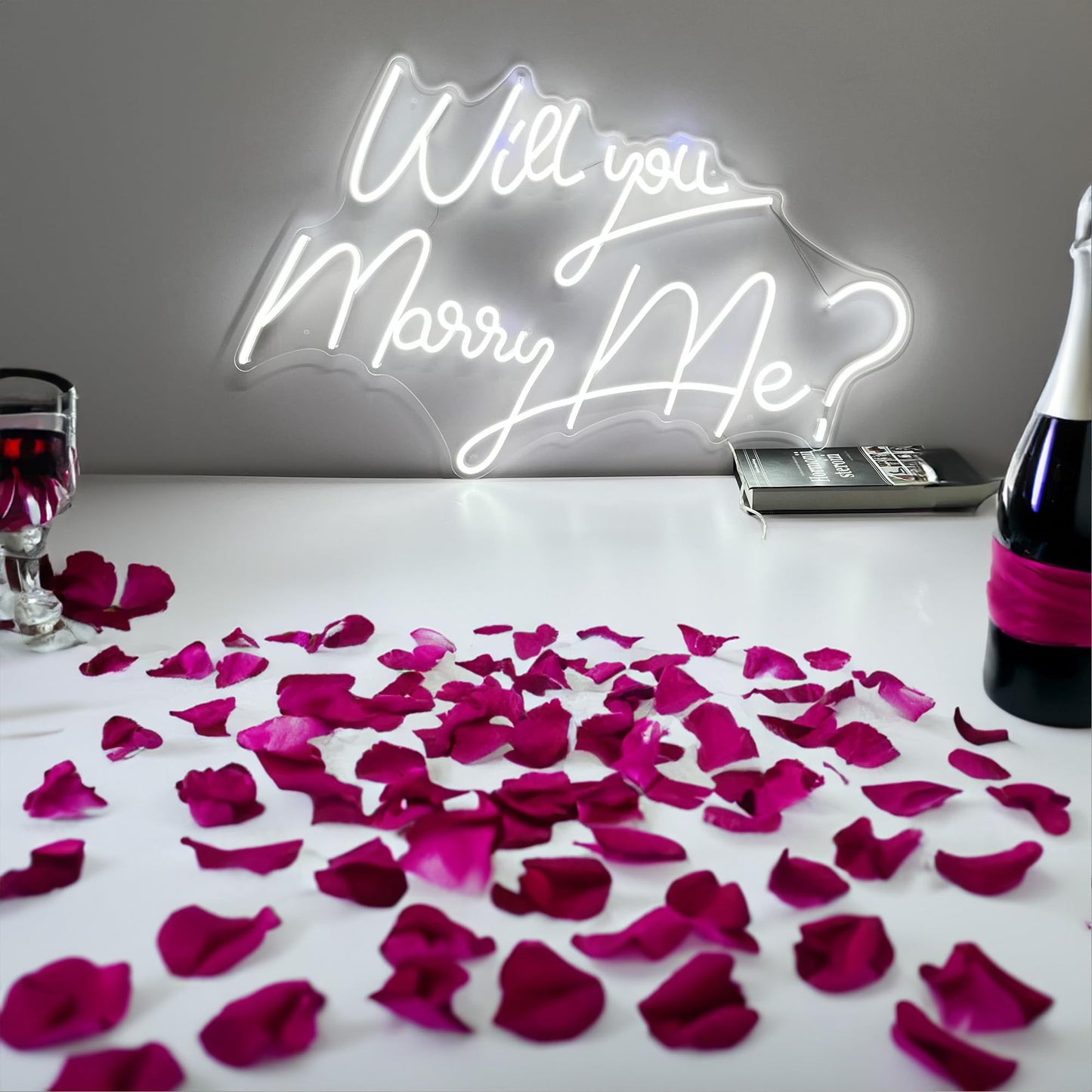 Neon Sign Will You Marry Me ? with Dimmer Switch, 12V Wedding Neon Sign Decoration Ins Neon Signs For Wall Decor Neon Light