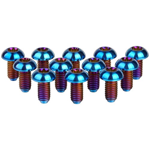 Wanyifa 12Pcs Ti Titanium Bolts Torx M5x10 Bicycle Bike Disc Brake Cycle Rotor Screws Gr5 (Burnt Blue)
