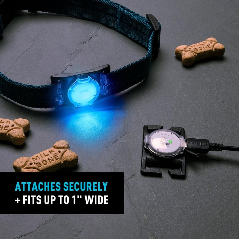 Nite Ize NiteDog Rechargeable Pet Light - Dog Light with Weather-Resistant Design - Perfect for Walks, Camping & More - Disc-O Tech (2 Pack)