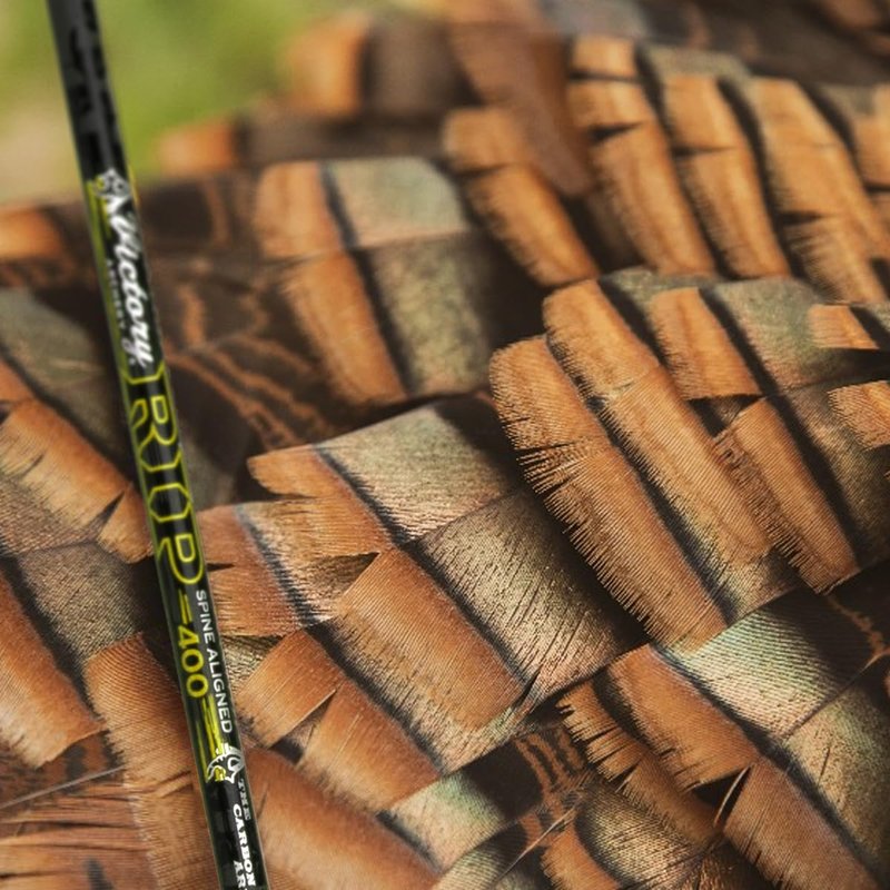 Victory Archery RIP 0.204" Small Diameter Hunting Arrow (Spine: 250, 6 Pack Fletched, Straightness ± 0.001 - Elite - Yellow)