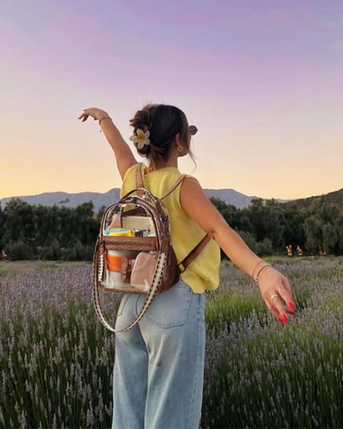FADEON Clear Small Backpack Purse - Designer Transparent Shoulder Handbag | PVC Mini Bag for Stadium Use