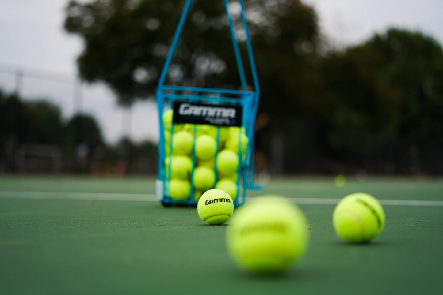 Gamma Pressureless Tennis Balls for Tennis Practice and Lessons, Longer-Term Durability and More Bounce Than Standard Tennis Balls, Yellow, Box of 48