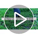 Heavy Duty Steel Tent Stakes - 4 Pack, 8 Inch Unbreakable