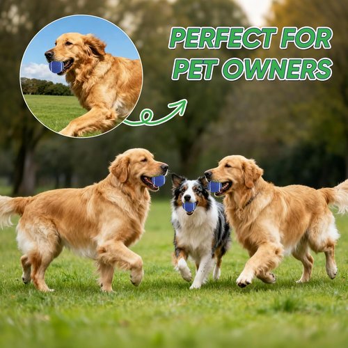 High-Visibility Tennis Balls by [Brand Name] - Durable 3/4 Pack for Training & Dog Exercise | Ideal for All Court Surfaces