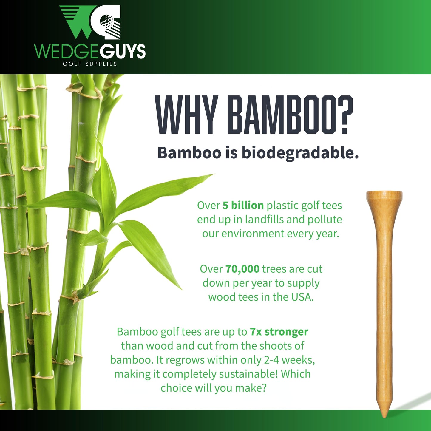 Wedge Guys Bamboo Golf Tees 3-1/4" | 100,250 or 1000 pcs. | Extra Durable & Stronger Than Wood Tees | Biodegradable & Less Friction | PGA Professional Approved, Golf Tees Bulk Bag