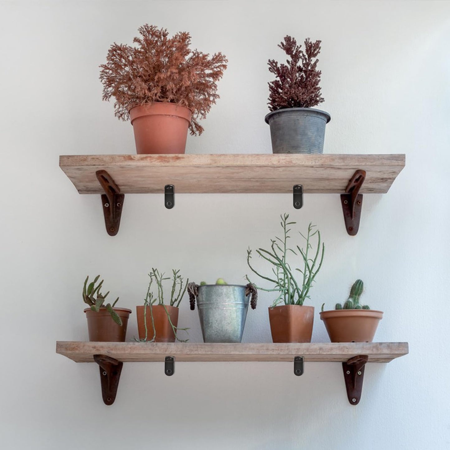 40 Pack L Shaped Corner Bracket Black 90 Degree Right Angle Metal Braces 20mm/25mm/30mm/40mm Mending Repair Plate for Furniture, Cabinets, Chairs