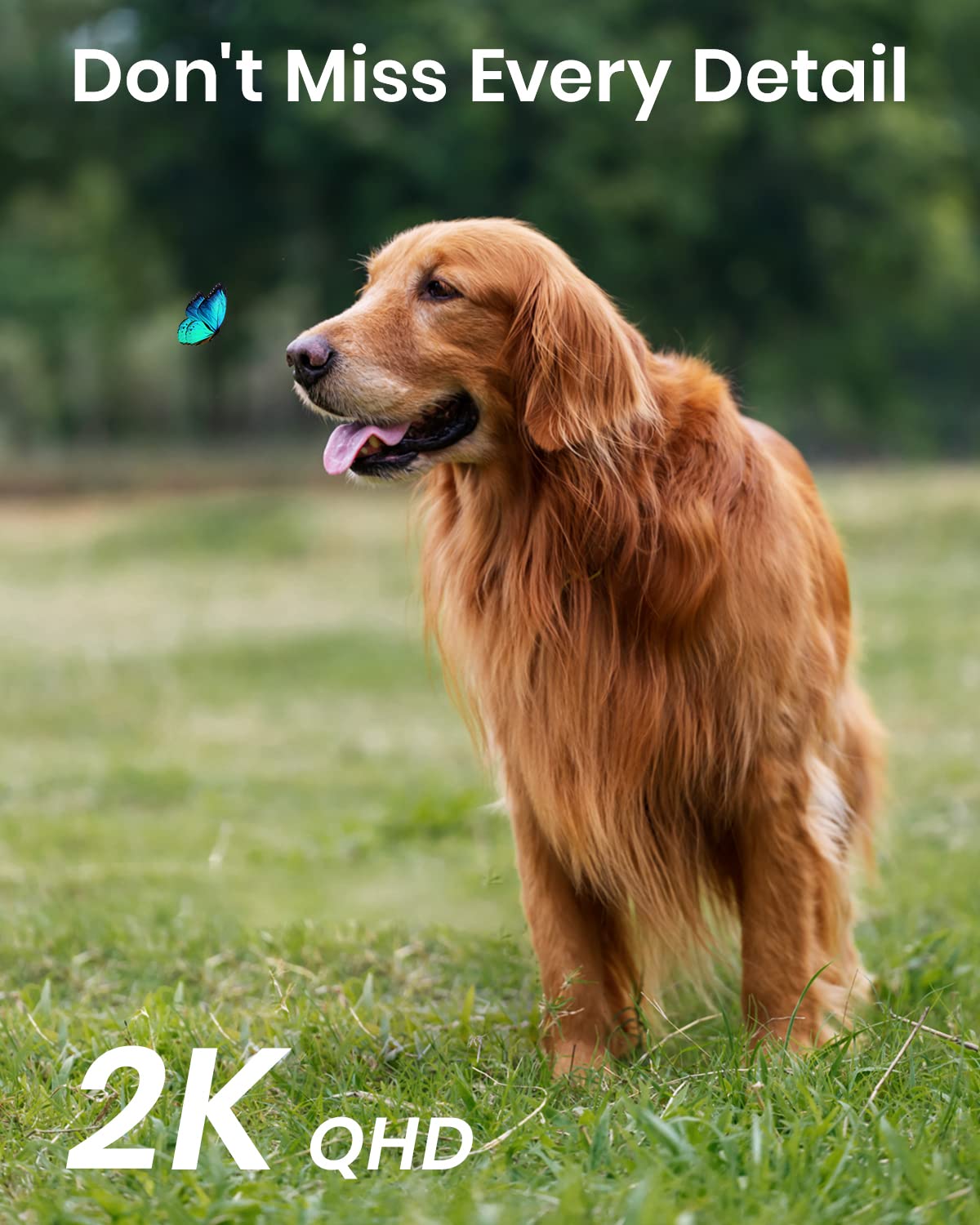 AOSU 2K Security Camera 2Pack with Motion Tracking, 360°Pan-Tilt View Security Camera, Spotlight & Siren, 2.4G WiFi, 2-Way Audio, Full Color Night Vision Security Camera, Waterproof Outdoor Camera