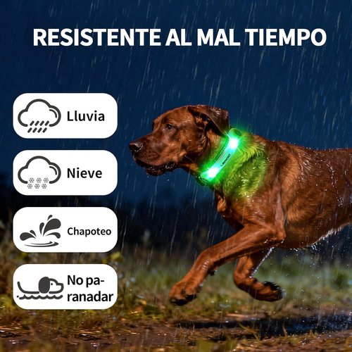 LaRoo Dog Collar Light - Universal LED Safety Lights for Night Walking | Green Nylon Stickers