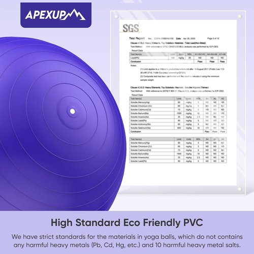 APEXUP Yoga Ball | Anti-Slip Heavy Duty Exercise Ball for Fitness & Core Workouts | 5 Sizes Available